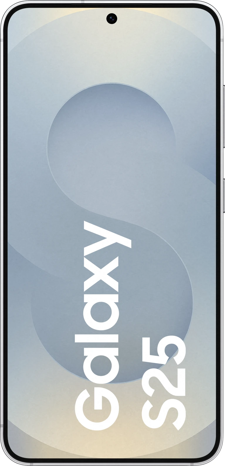 Samsung Galaxy S25 128 GB Silver Shadow